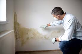 Best Industrial Mold Remediation  in Sacramento, CA